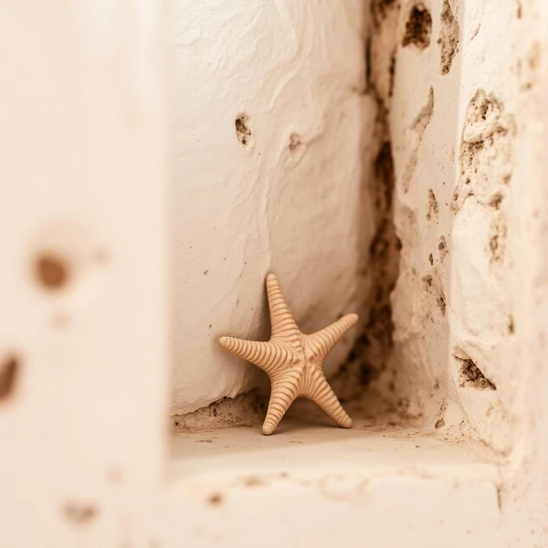 Dawson Cottage Starfish